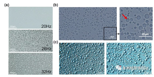 圖3 a) 乳液中液滴的性質。(a)不同振動頻率下乳液的特性；(b)一個乳狀液艙內的單顆珠子的照片；(c)乳液熱循環前(左)和熱循環后(右)的照片。
