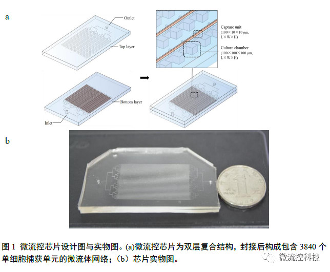 微流控芯片設(shè)計(jì)圖與實(shí)物圖
