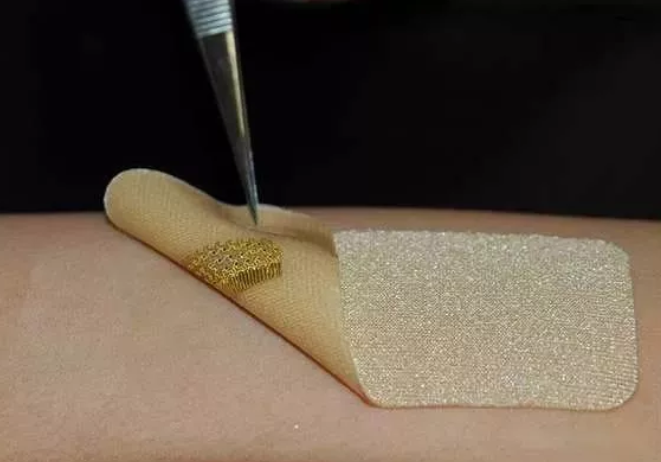 基于微流控技術的新型生物傳感器可用于實時檢測病原菌