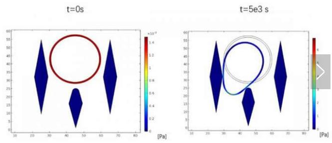 1574670378961703.jpg 3.jpg