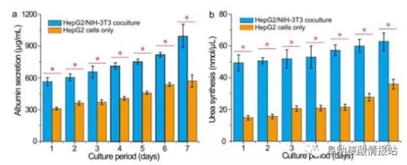 圖片6.png 圖5 肝細胞/成纖維細胞共培養和肝細胞培養的肝臟特異性功能的測定。在七天內測量的HepG2 / NIH-3T3共培養和HepG2培養的a)白蛋白分泌和b）尿素合成。