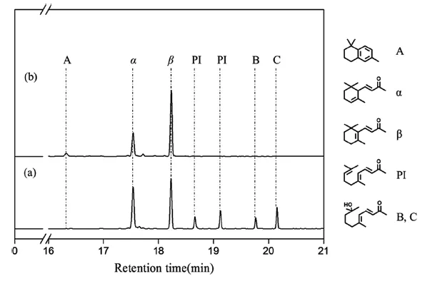 圖8. 在不同條件下產物混合物的GC色譜圖