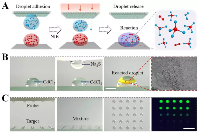 圖3 可編程浸潤性陣列通過可控釋放的液滴構(gòu)建微反應(yīng)器進行化學(xué)合成以及生物檢測