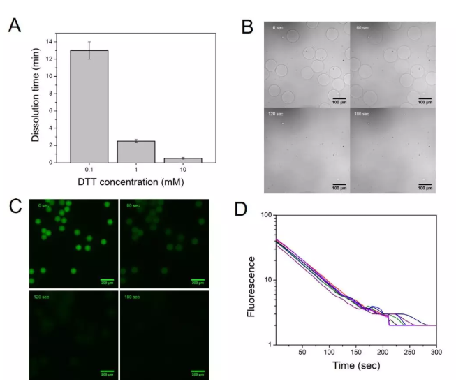 圖2. (A) 微球在不同DTT濃度下的降解時(shí)間，(B)在1 mM DTT存在下0, 60, 120,以及180 s時(shí)微球在顯微鏡下的狀態(tài)，(C)在1 mM DTT存在下0, 60, 120,以及180 s時(shí)標(biāo)記上熒光后的微球的熒光圖像，(D)隨機(jī)選擇8個(gè)微球的熒光強(qiáng)度在降解過(guò)程中隨時(shí)間的變化情況