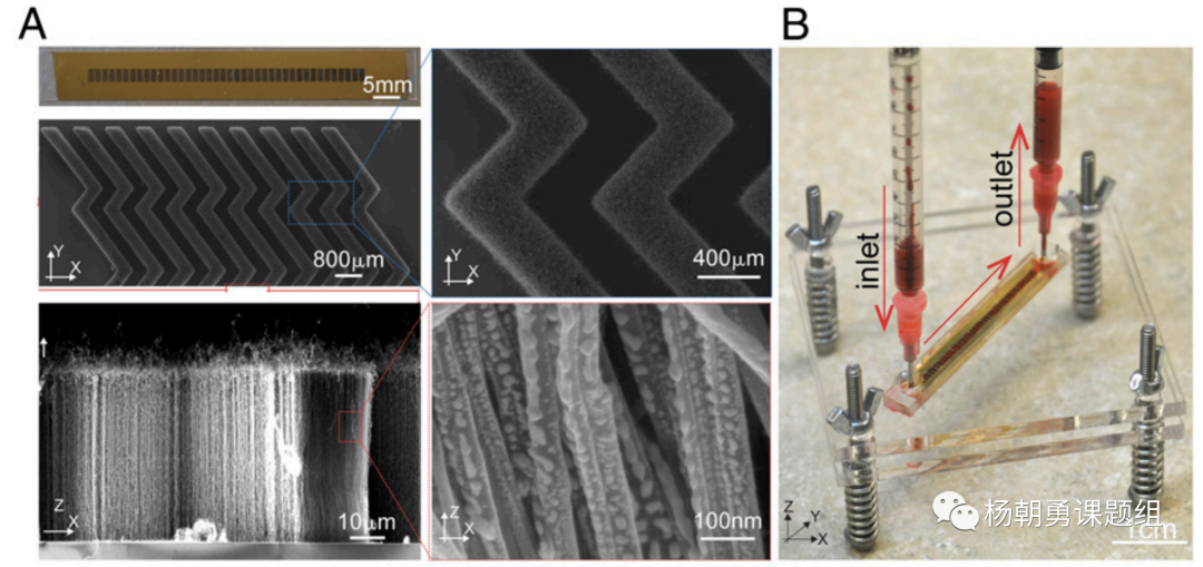 圖1 VIRRION平臺內部具有精準可控的碳納米管陣列結構,用于通過尺寸捕獲樣品中的病毒。毫米級的芯片通道可以保證在處理樣品時具有足夠的通量 圖1 VIRRION平臺內部具有精準可控的碳納米管陣列結構,用于通過尺寸捕獲樣品中的病毒。毫米級的芯片通道可以保證在處理樣品時具有足夠的通量