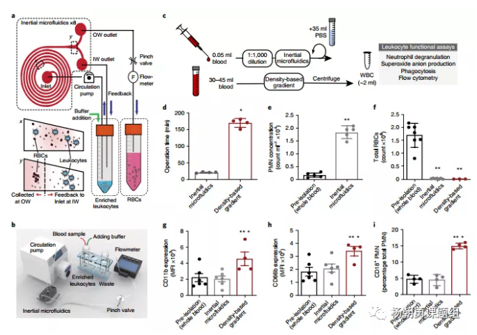 圖1 慣性微流控系統用于分離全血中的白細胞原理圖，及其與密度梯度離心法分離效果的對比