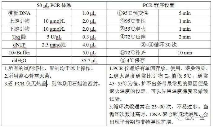 聚合酶鏈式反應的體系