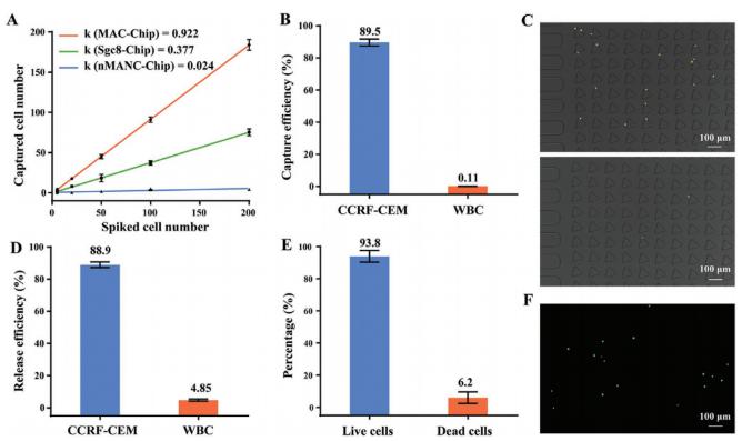 圖3 芯片的細胞捕獲和釋放性能表征