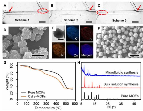 微流體合成Cyt c-MOF復(fù)合物的、結(jié)構(gòu)、形貌等示意圖