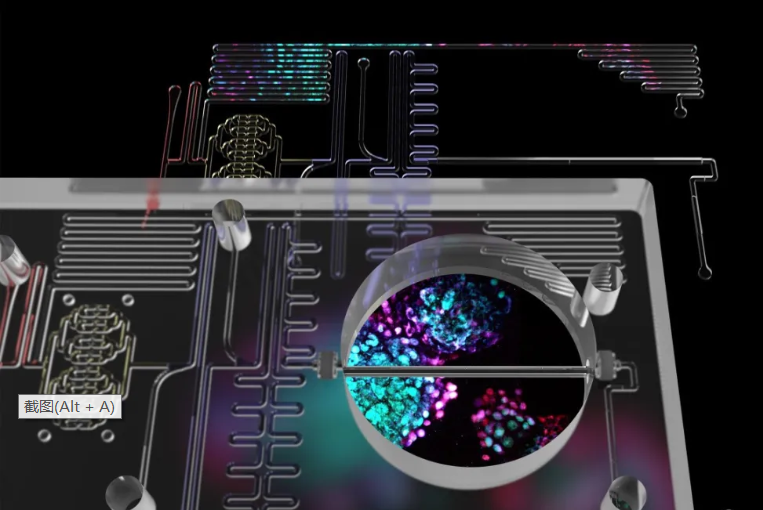 利用微流控技術篩選胰島素生成細胞