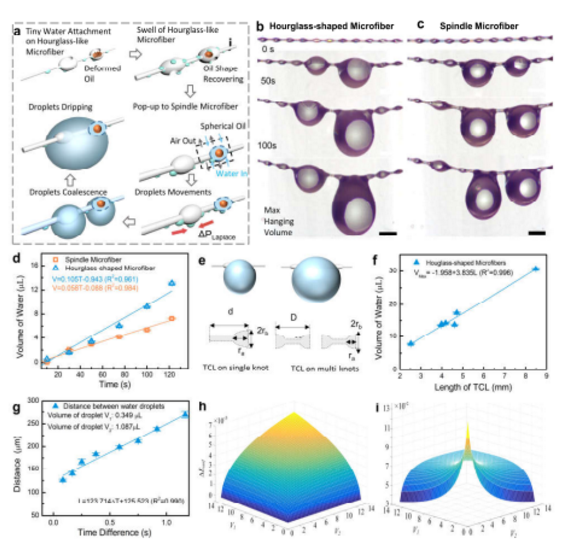 單根微流控沙漏型微纖維液滴吸附