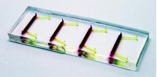 圖4:角膜芯片 圖4:角膜芯片