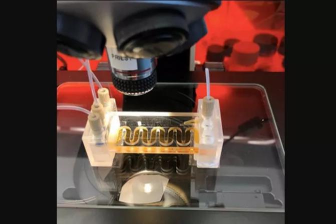 低成本的微流體傳感器用于水質監測