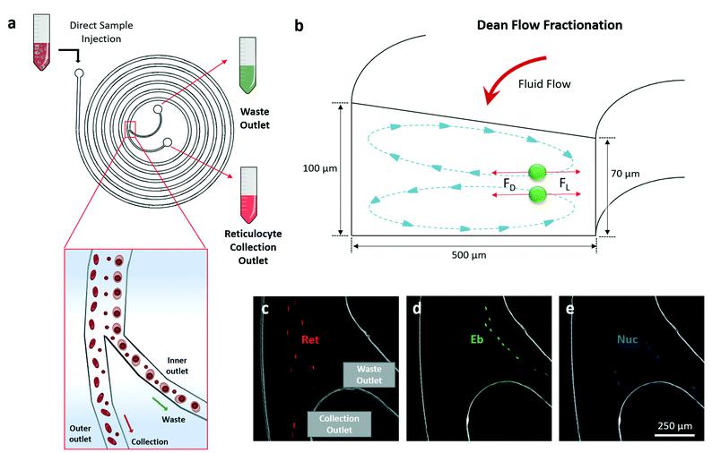 DFF微流體芯片 DFF微流體芯片