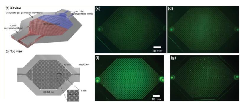 1602222101419638.jpg 2.jpg