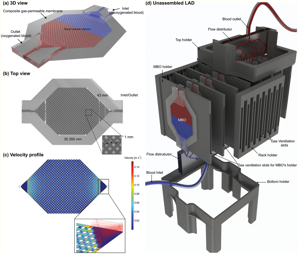1602222163740864.jpg 1.jpg