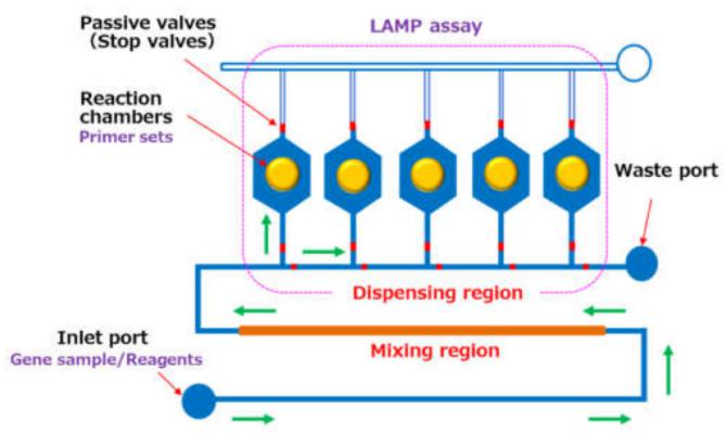 微流控芯片技術可快速診斷多種植物病毒所引起的疾病 微流控芯片技術可快速診斷多種植物病毒所引起的疾病