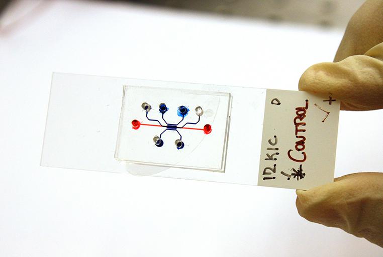 微流控設備測試胰腺癌藥物