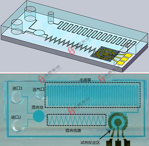 基于電化學檢測的微流控芯片委托開發