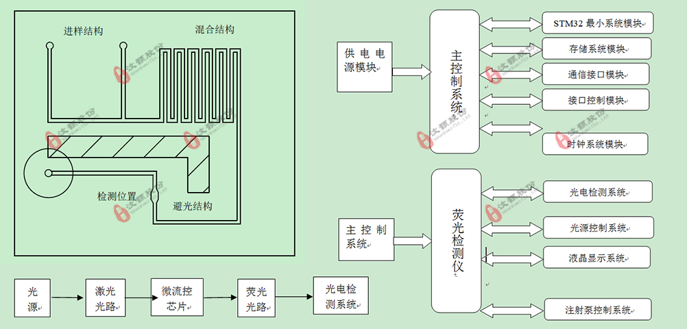 基于微流控芯片的海洋藻類在線檢測系統