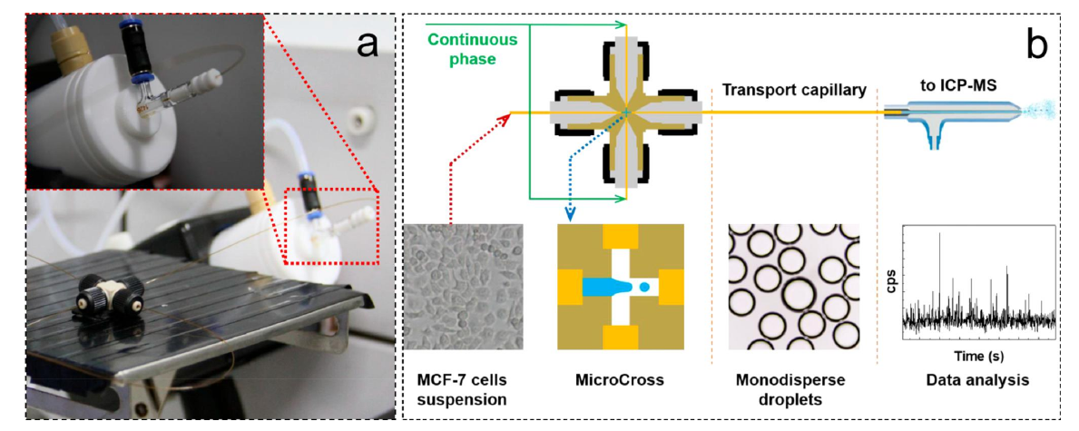 微流控.png 微流控.png
