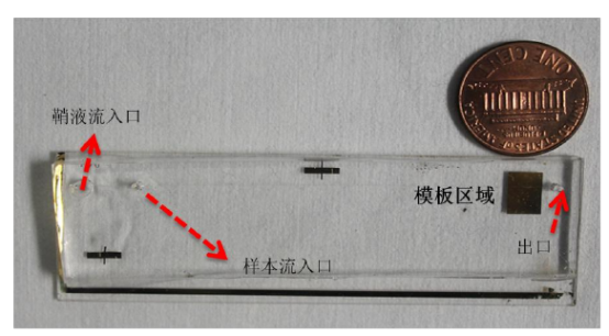 微流控芯片.jpg