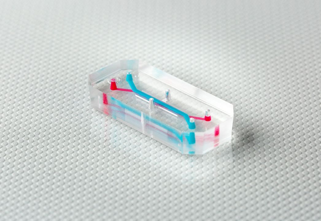 1660887778568192.jpeg 圖片4.jpeg