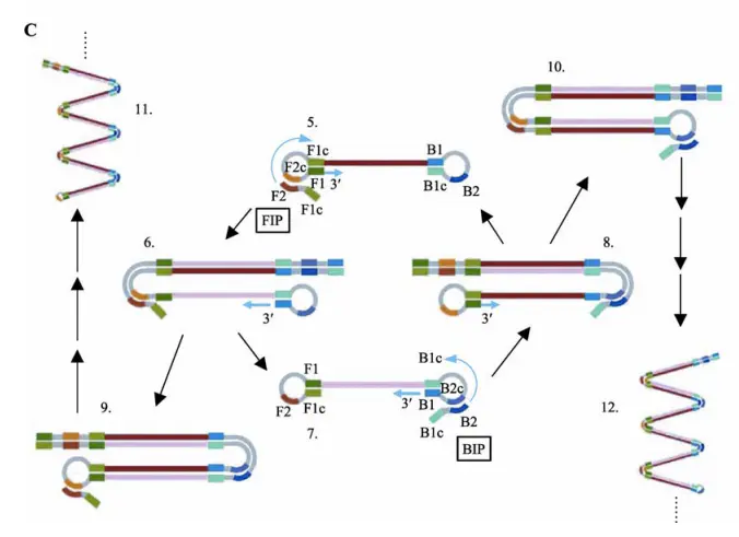 微流控芯片|微流控芯片批量加工