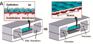 1674979312120101.png 2.png