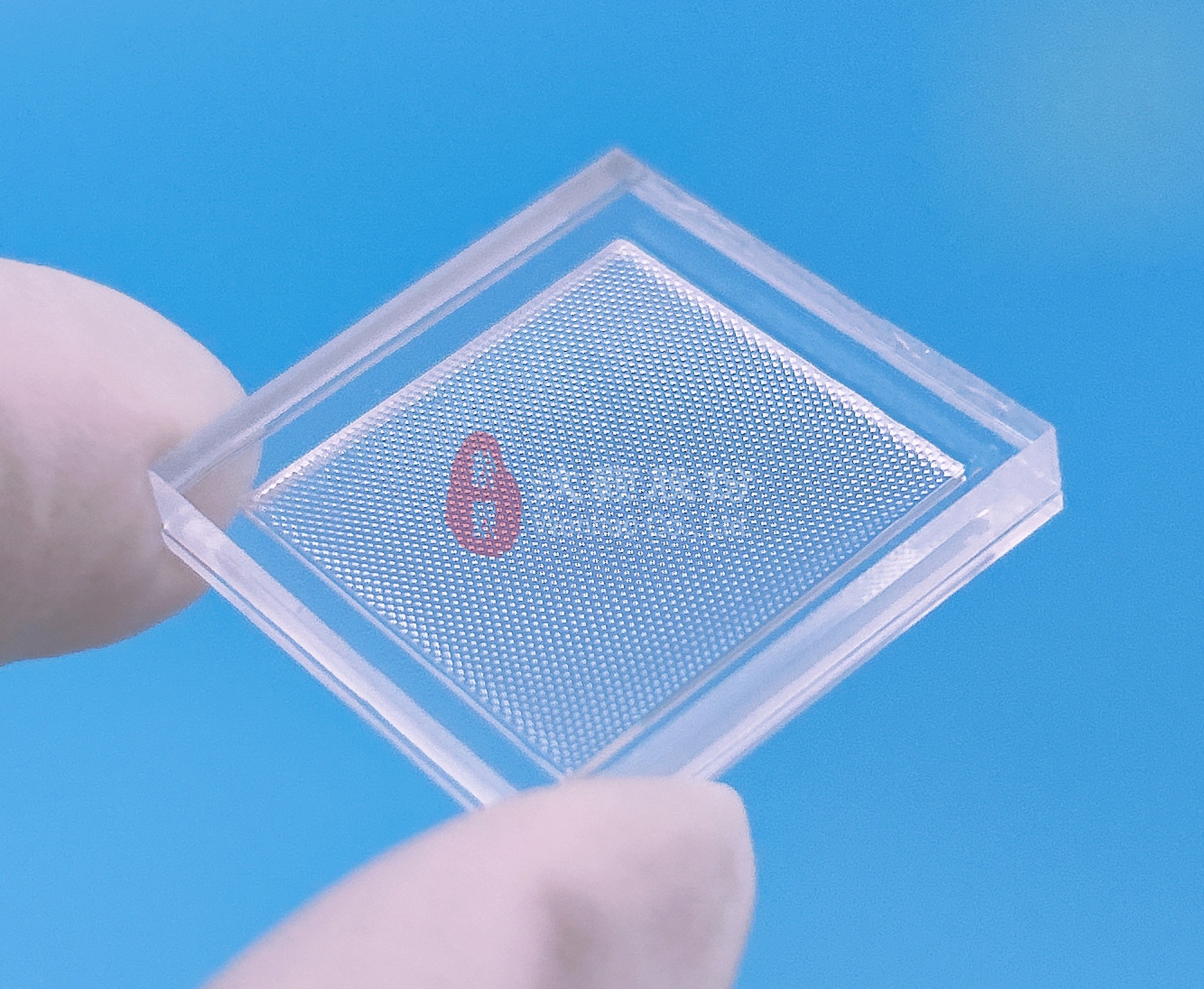 1691558175621567.jpg 1691558175621567.jpg