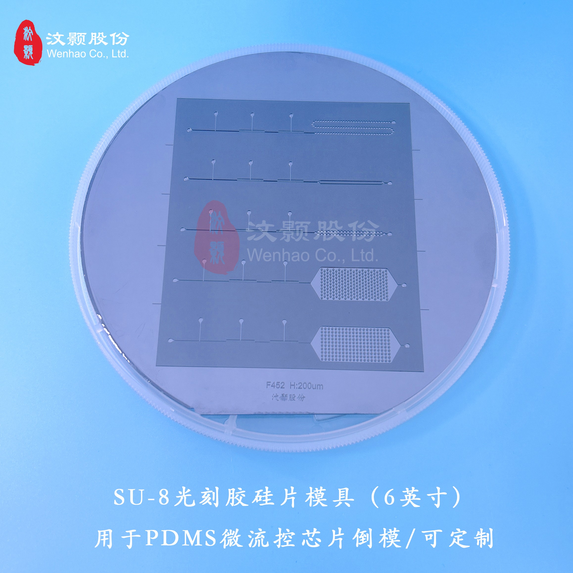 1693356263786357.jpg 20230608SU-8模具6寸-王金金(1).jpg