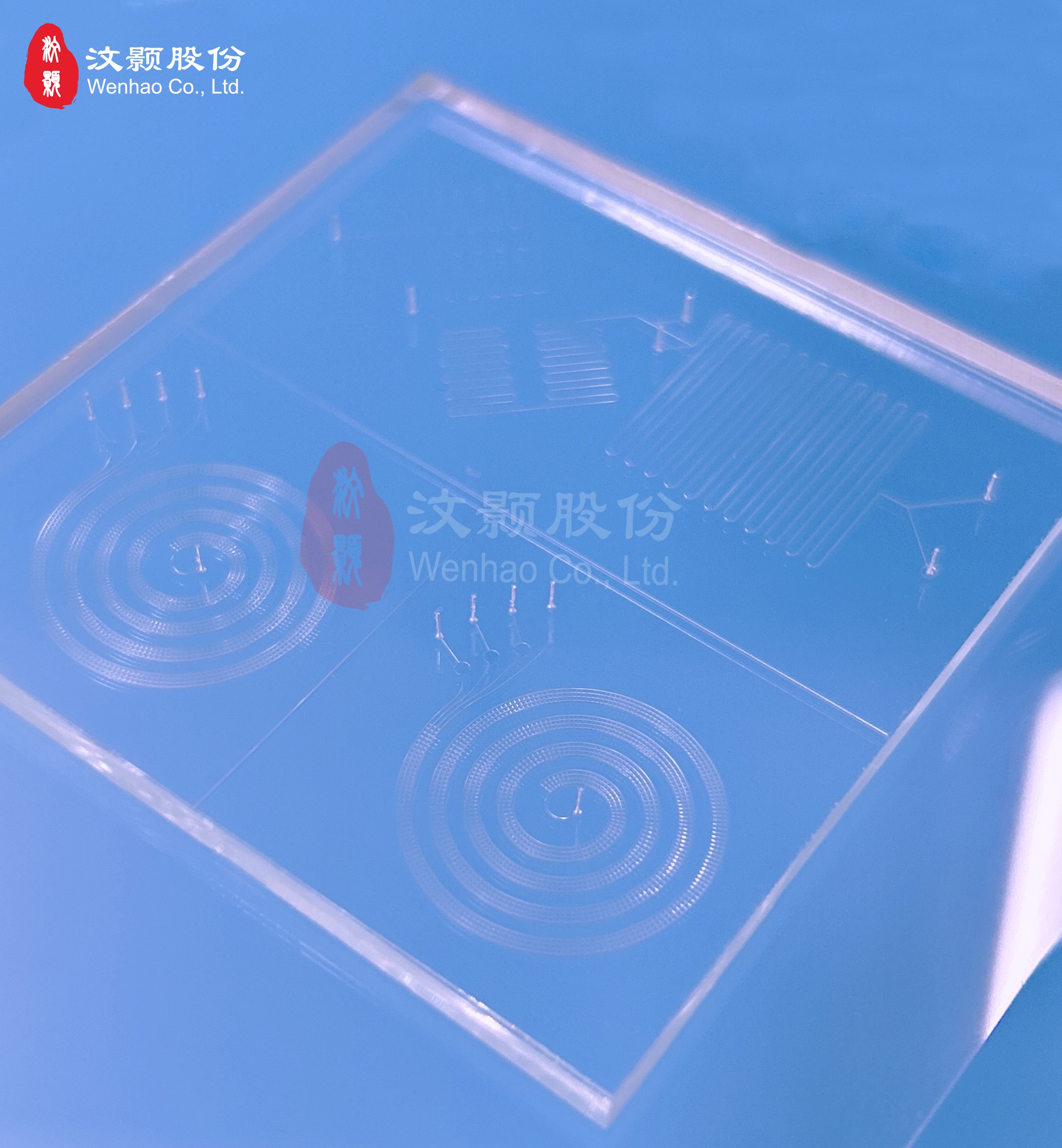 1693360043866381.jpg 1693360043866381.jpg