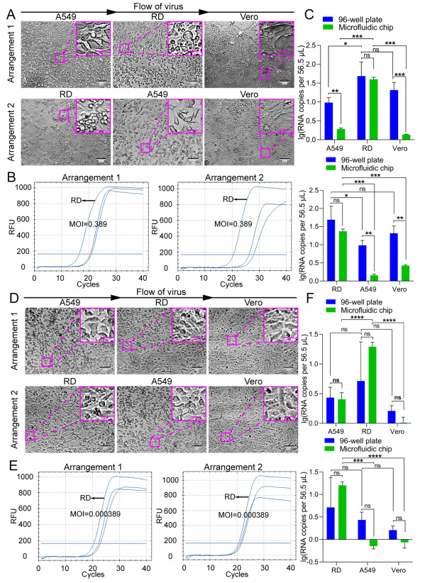 1699325535162814.png 圖片6.png