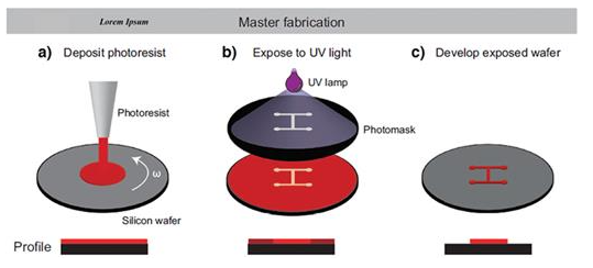 1701142518543381.png 圖片2.png