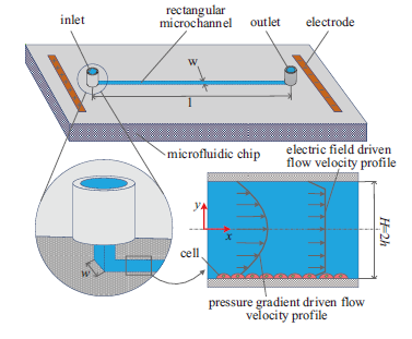 1708224006479581.png image.png