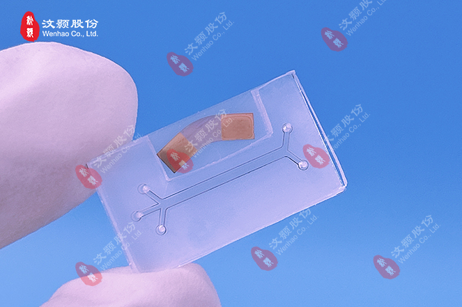 1722826839894049.jpg 1722826839894049.jpg