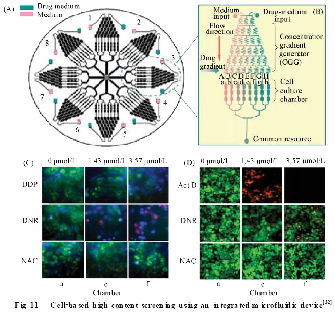 微流控芯片在模式生物水平化學研究技術 微流控芯片在模式生物水平化學研究技術
